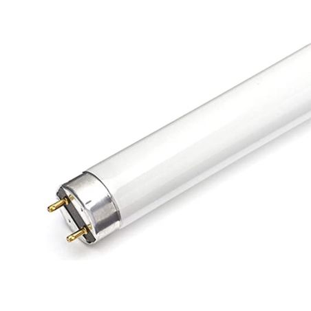 Hepoluz Tubo Fluorescente 20W 230V 1500mm 6500K T8 G13